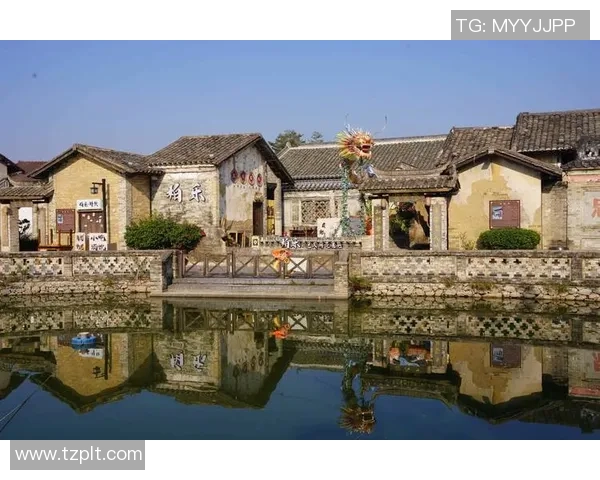 顺德姚明红的独特魅力与文化传承探秘之旅